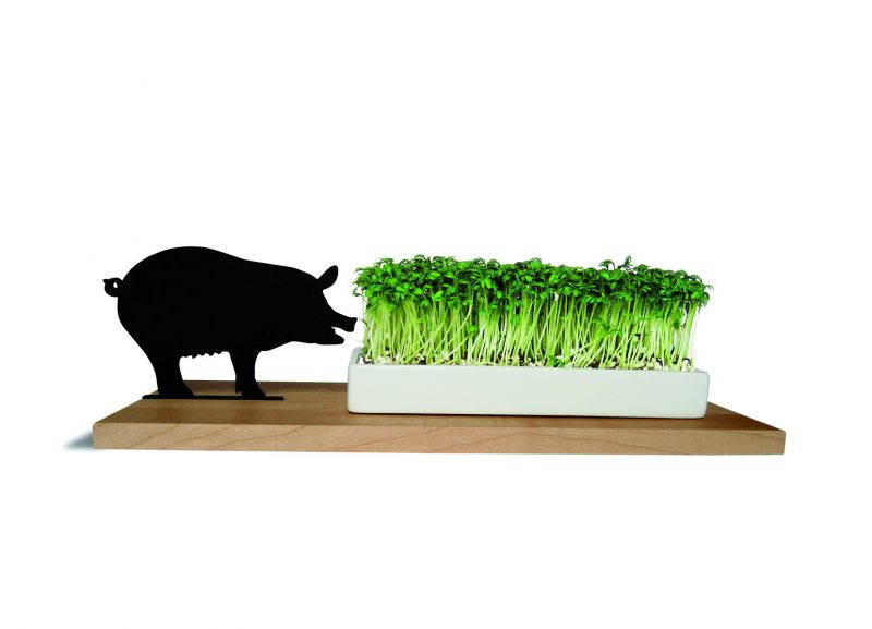 Smart 'n' green Kresseschale Schwein Side by Side EINZELSTÜCK
